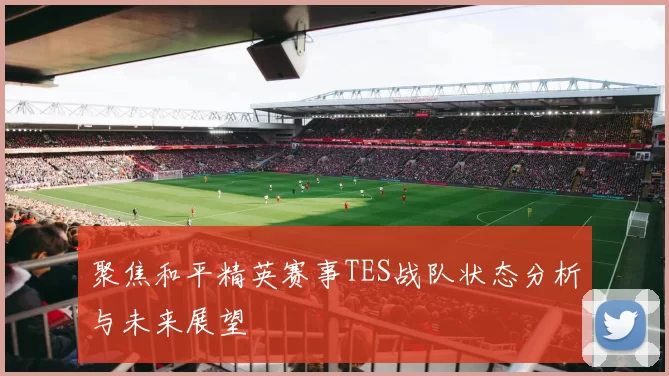 聚焦和平精英赛事TES战队状态分析与未来展望