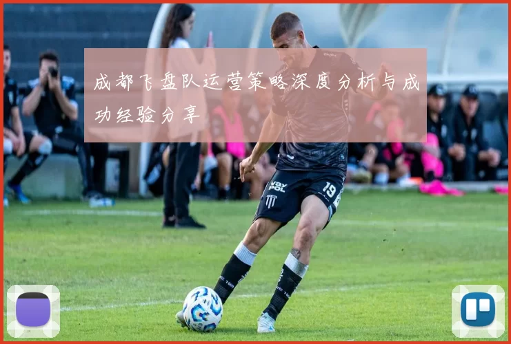 成都飞盘队运营策略深度分析与成功经验分享