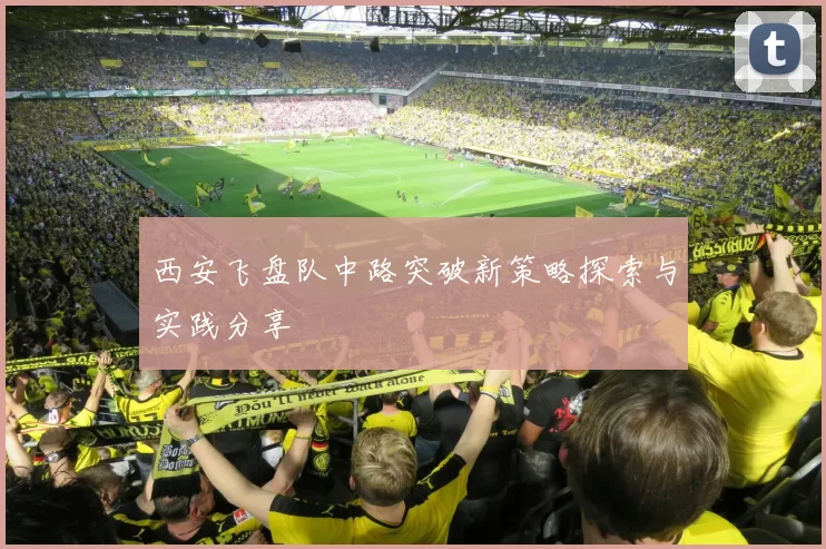 西安飞盘队中路突破新策略探索与实践分享