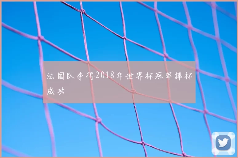 法国队夺得2018年世界杯冠军捧杯成功