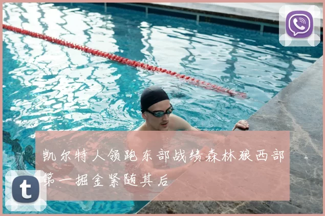 凯尔特人领跑东部战绩森林狼西部第一掘金紧随其后