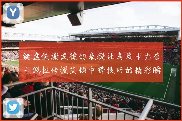 键盘侠谢泼德的表现让乌度卡无奈卡佩拉传授艾顿中锋技巧的精彩瞬间