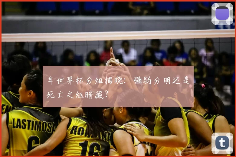 年世界杯分组揭晓:强弱分明还是死亡之组暗藏?