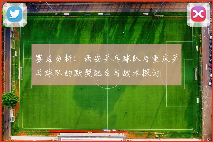 赛后分析:西安乒乓球队与重庆乒乓球队的默契配合与战术探讨